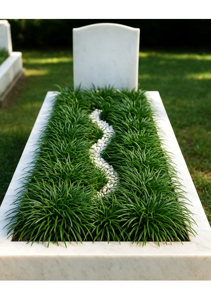 MEZAR - KABİR OSMANLI ÇİMİ SETİ - 50 ADET GÖLGE ÇİMİ fırsatları