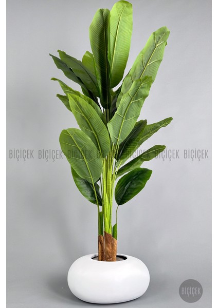 Yapay Muz Ağacı 190 cm Bone Saksı