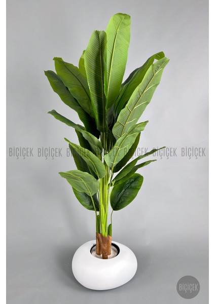 Yapay Muz Ağacı 190 cm Bone Saksı modelleri