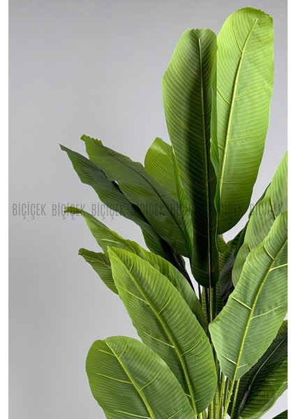 Yapay Muz Ağacı 190 cm Bone Saksı indirimleri