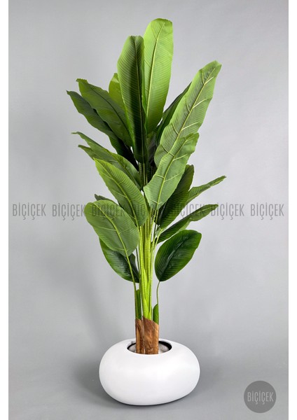 Yapay Muz Ağacı 190 cm Bone Saksı