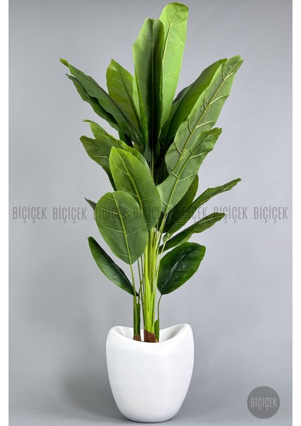 Yapay Muz Ağacı 220 cm Bone Saksı