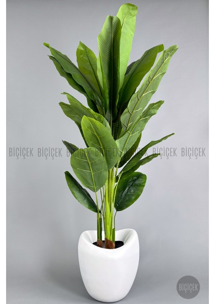 Yapay Muz Ağacı 220 cm Bone Saksı fırsatları