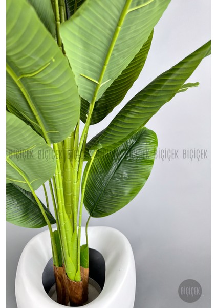Yapay Muz Ağacı 220 cm Bone Saksı indirimleri