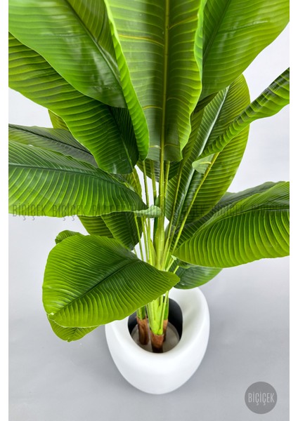 Yapay Muz Ağacı 220 cm Bone Saksı