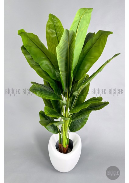 Yapay Muz Ağacı 220 cm Bone Saksı