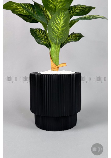 Difenbahya Ağacı 180CM Gala Saksı modelleri