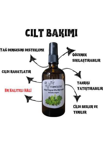 Aslan Pençesi Otu Suyu Hidrosolü Sebum Sıkılaştırıcı Elastikiyet Destekleyici Tonik 100 ml