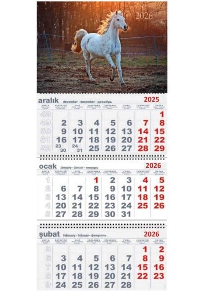 2026 Gemici Duvar Takvimi Hayvanlar