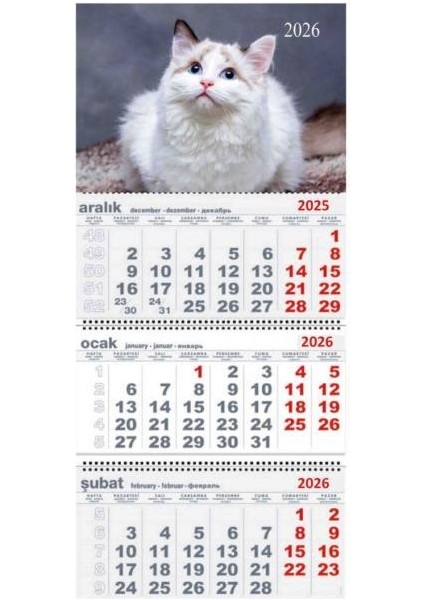 2026 Gemici Duvar Takvimi Hayvanlar modelleri