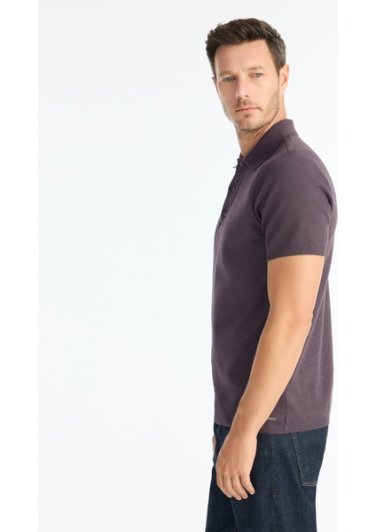 Regular Gömlek Yaka Kısa Kol Kazak