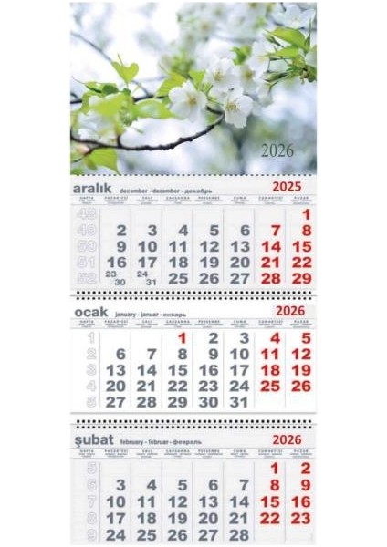 2026 Gemici Duvar Takvimi Çiçek