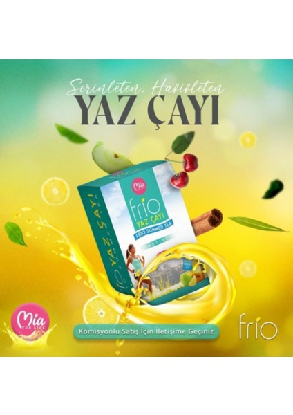 Frio Yaz Çayı 2 Kutu
