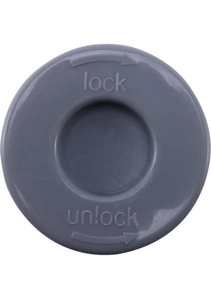 Electrolux Temizleyici ZS203 ZT17635 ZT17647 ZTF7660IW Için 1 Adet Filtre (Yurt Dışından) indirimleri