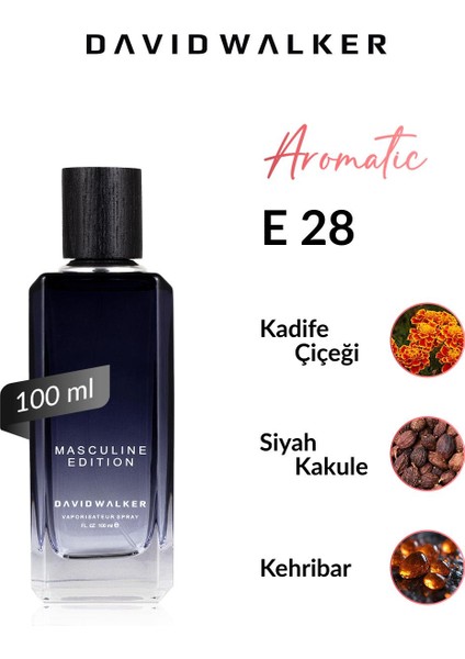 E28 Scienic 100 ml Erkek Parfüm | Aromatic