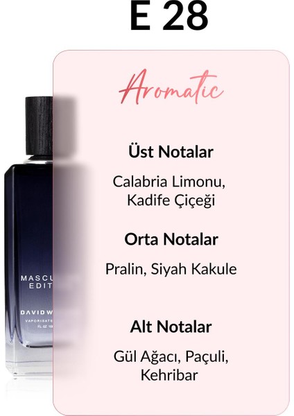 E28 Scienic 100 ml Erkek Parfüm | Aromatic fiyatları