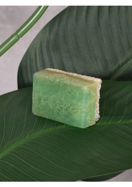 Kabak Lifli Aloe Vera Sabunu El Yapımı Doğal