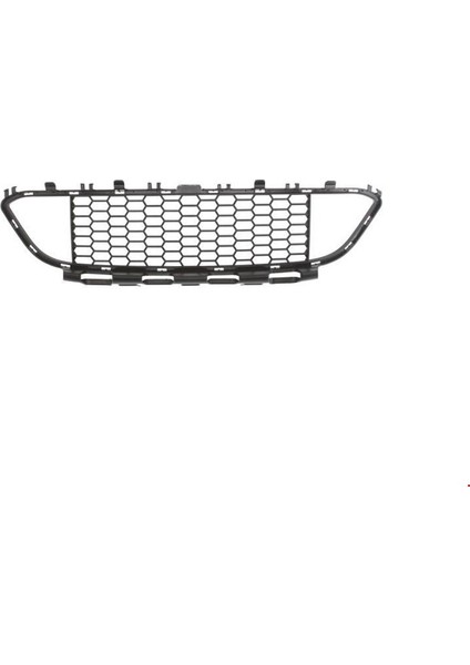 Ön Tampon Orta Izgara M-Tech F30 2012-