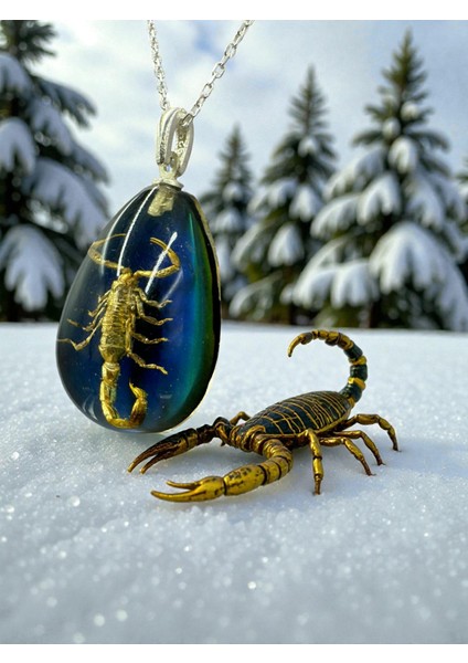 Gümüş Akrep Kolye, Reçineli Akrep Kolye, Işığa Göre Renk Değiştirebilir Kolye El Yapımı 925 Ayar Gümüş Kolye modelleri