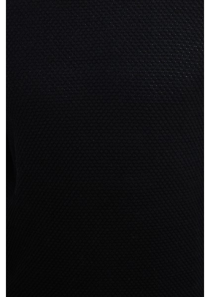 Erkek Standart Fit Normal Kesim Bisiklet Yaka Petek Desenli Siyah Triko Kazak