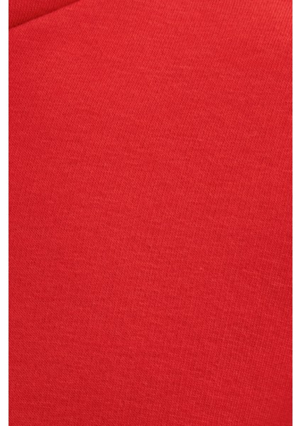 Unisex Oversize Geniş Kesim Pamuklu Yumuşak Dokulu Içi Polarlı Basic Nar Renk Kapüşonlu Sweatshirt