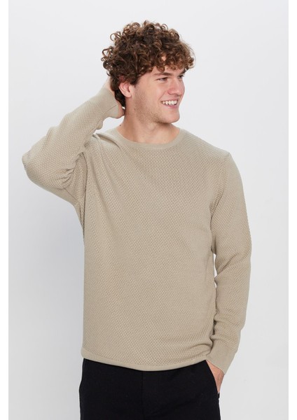 Slim Fit Bisiklet Yaka Petek Desenli Erkek Standart Fit Normal Kesim Kazak