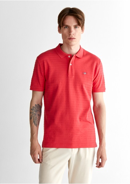 Erkek Kırmızı Regular Fit Çizgili Polo 2014035.648