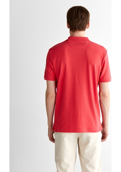 Erkek Kırmızı Regular Fit Çizgili Polo 2014035.648 fiyatları