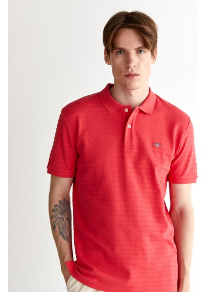 Erkek Kırmızı Regular Fit Çizgili Polo 2014035.648 fırsatları