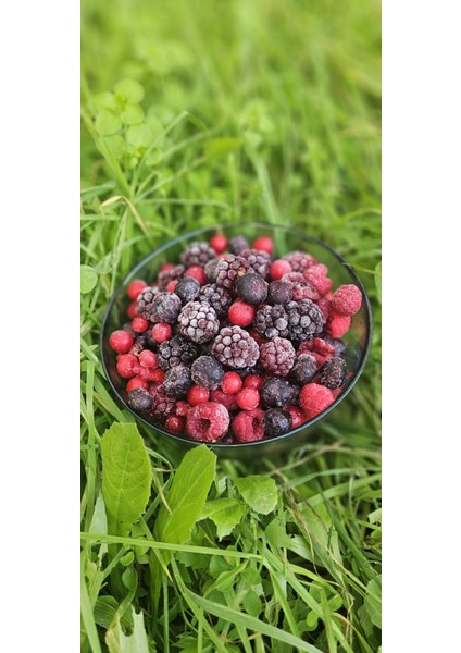 Yeni Karışık Orman Meyveleri Paketi 1 kg (Yaban Mersini, Ahududu, Böğürtlen, Frenk Üzümü)