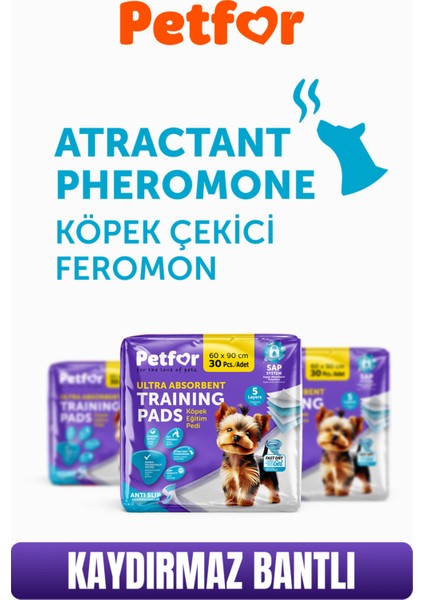 Köpek Eğitim Pedi 60X90 120 Adet Kaydırmaz Bantlı fiyatları