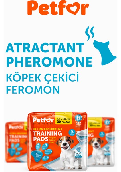 Köpek Eğitim Pedi 60X90 180 Adet fiyatları