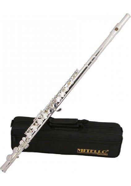 Gümüş Kaplama Yanflüt