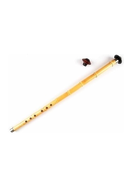 Kaliteli Kamış Kız Ney fırsatları