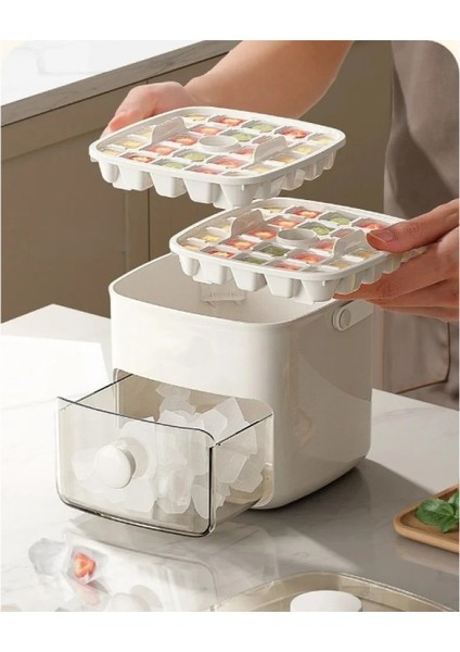 Buz Kalıp ve Saklama Kutusu