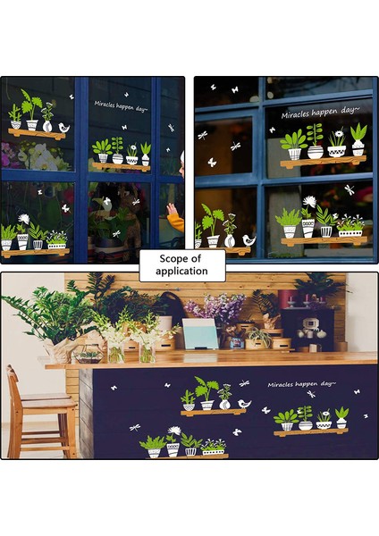 Cam Etiket Küçük Taze Bitkiler Tip A (Yurt Dışından) modelleri