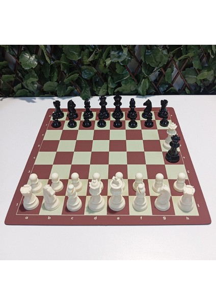 Profesyonel Satranç Takımı (95mm - Ağırlıklı - Yedek Vezirli) 700gr 45x45 cm Boyutunda modelleri