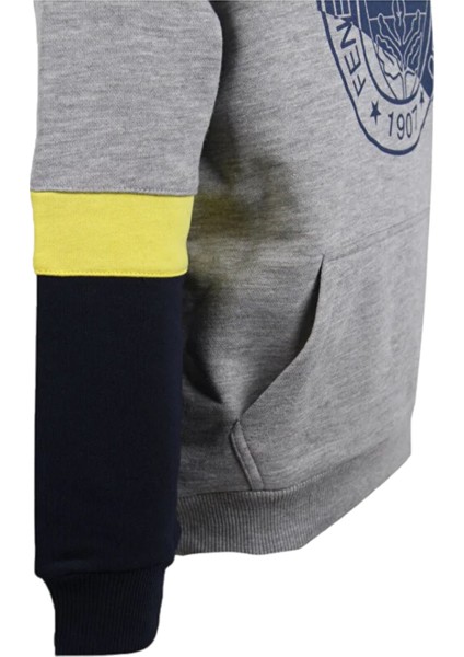 Çocuk Trıbun Renk Bloklu Sweat fiyatları