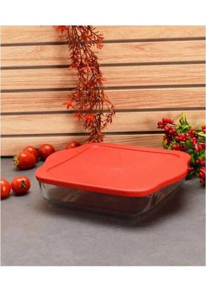 Kırmızı Kapaklı Kare Borcam 3200CC modelleri