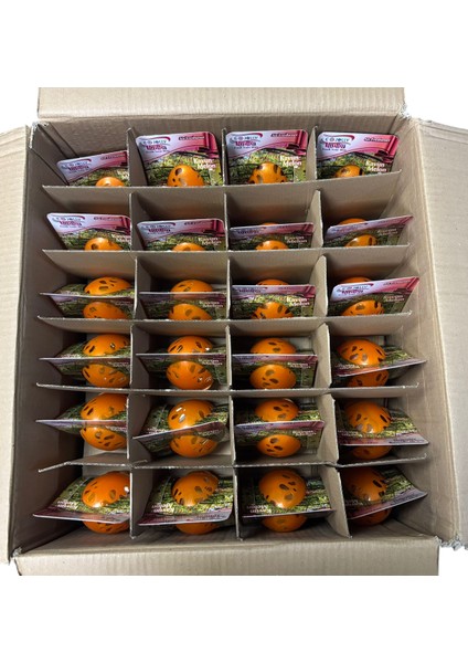 Kavanoz Kavun Kokusu 100 ml Ev-Araba-Ofis Kokusu 48 Adet Fiyatı fiyatları