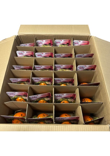 Kavanoz Kavun Kokusu 100 ml Ev-Araba-Ofis Kokusu 48 Adet Fiyatı modelleri