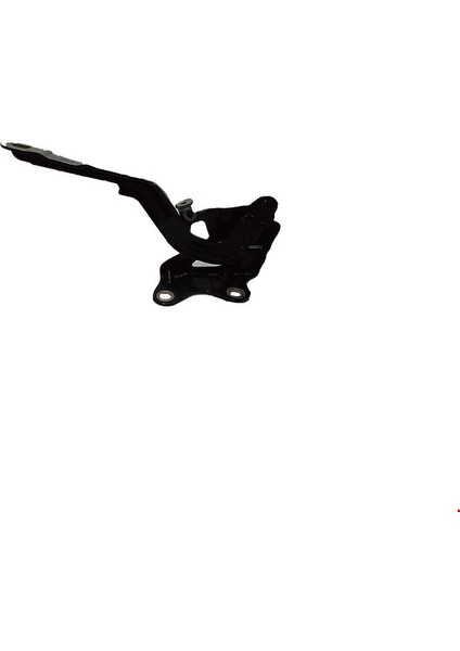 Kaput Menteşesi Sağ I20 2021-