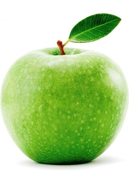 6 Yaş Aşılı Granny Smith Elma Fidanı