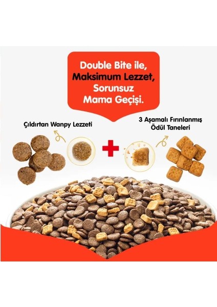 Tahılsız Somonlu Yetişkin Kedi Maması 8 kg fiyatları