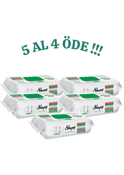 Easy Clean 5 Al 4 Öde - Beyaz Sabun Katkılı Yüzey Temizleyici -100'LÜPAKET / 5X100 ( 500 Yaprak )