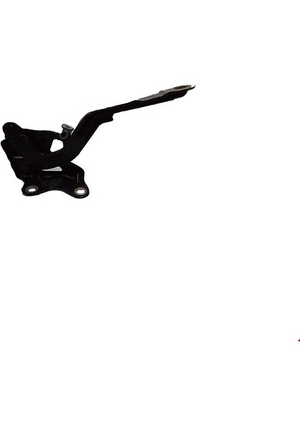 Kaput Menteşesi Sol I20 2021-