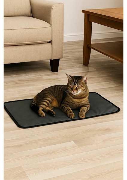 65×40 cm Kedi Yatağı Çift Kat Süngerli, Paraşüt Kumaş, Sıvı & Tırmalamaya Dayanıklı, Yıkanabilir fiyatları