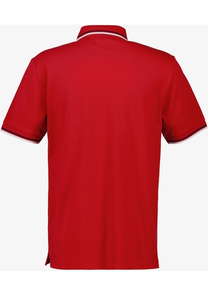 Erkek Kırmızı Regular Fit Çizgili Polo 2013042.630 fiyatları