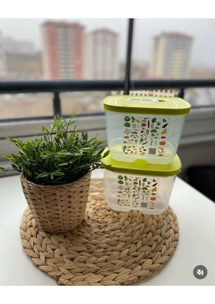 Sera Set Yeşillik Saklama Kabı fiyatları