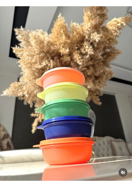 Şeker Kaplar 300 ml Buzdolabı Saklama Kahvaltlık Kaplar 5'li fiyatları